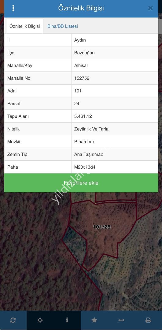 Aydın Bozdoğan Alhisar Mahallesi’nde Satılık Verimli Zeytinlik Ve İncirlik