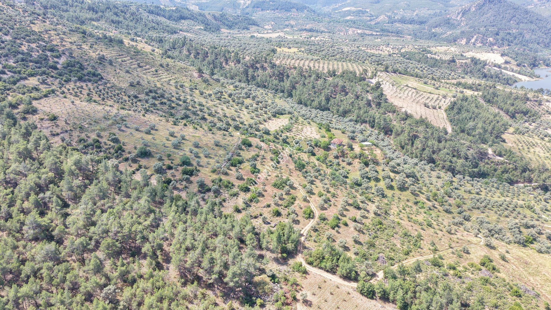 AYDIN BOZDOĞAN KEMER BARAJI MANZARALI 30.182M² TARLA VE KARGİR EV