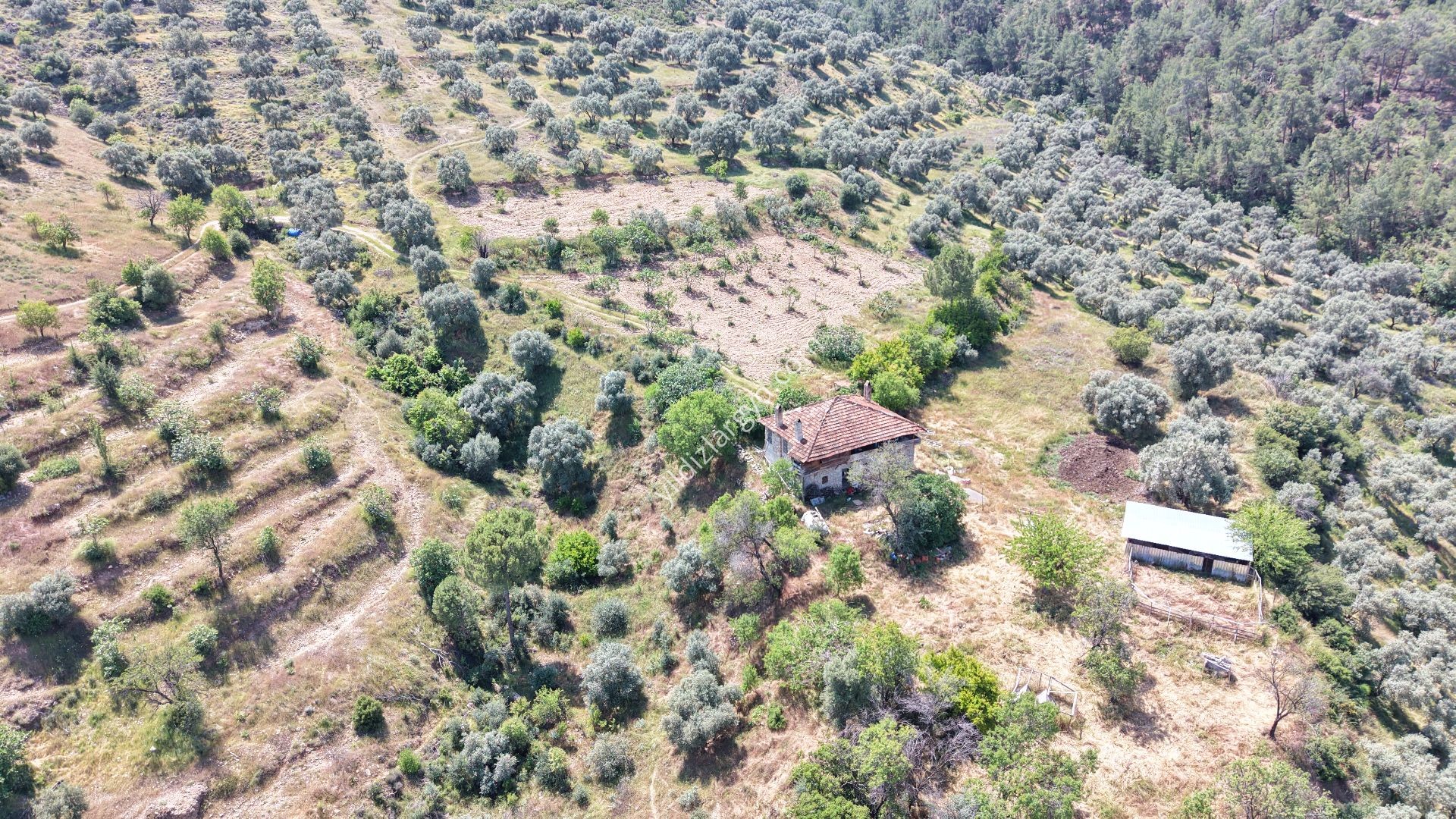 AYDIN BOZDOĞAN KEMER BARAJI MANZARALI GENİŞ TARLA VE KARGİR EV