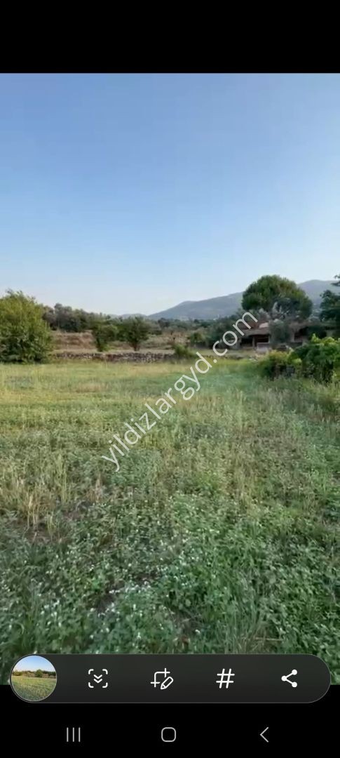 AYDIN BOZDOĞAN YENİCE MAH SATILIK TARLA+AHIR VE TABAKHANE