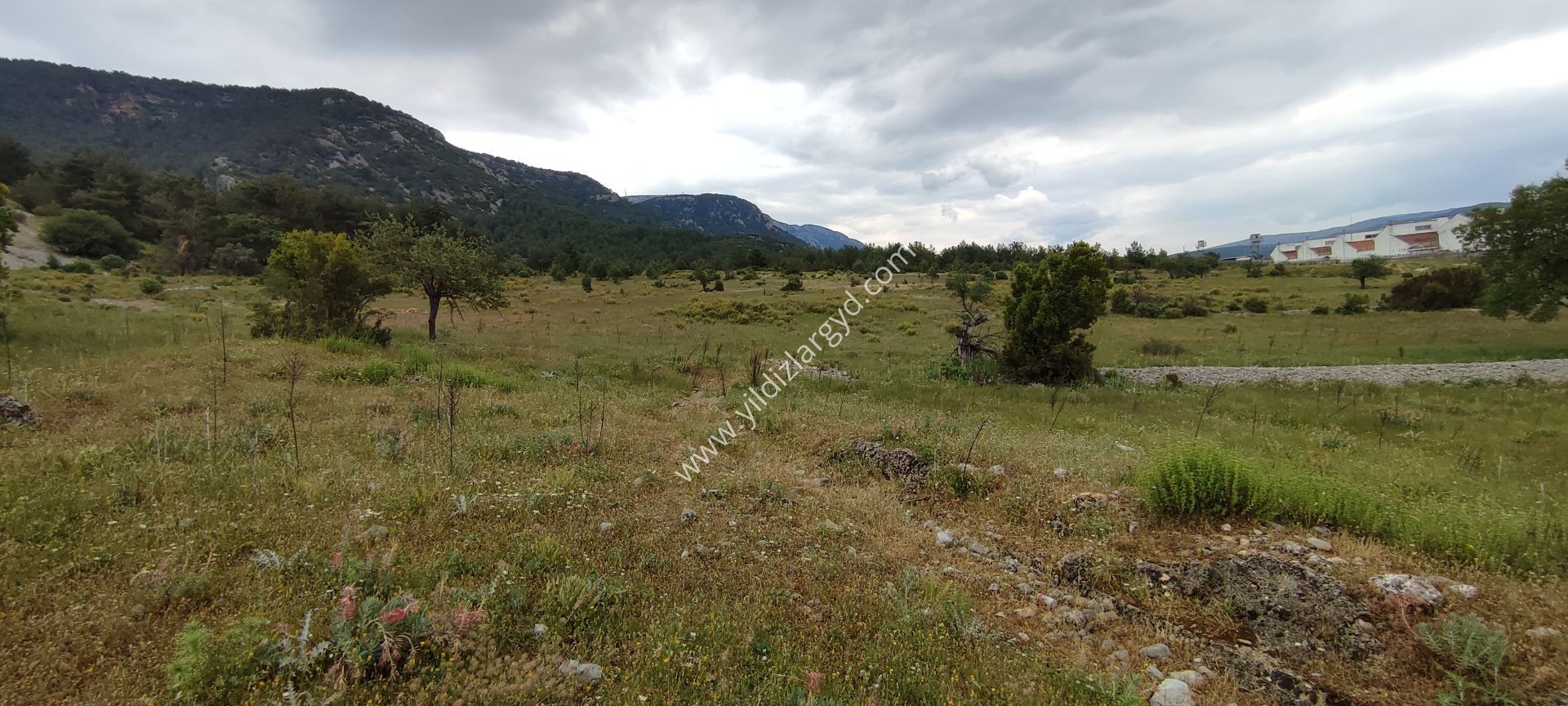 MUĞLA MENTEŞE DÜĞEREK GELİŞİM BÖLGESİNDE 750 M² ARSA HİSSESİ