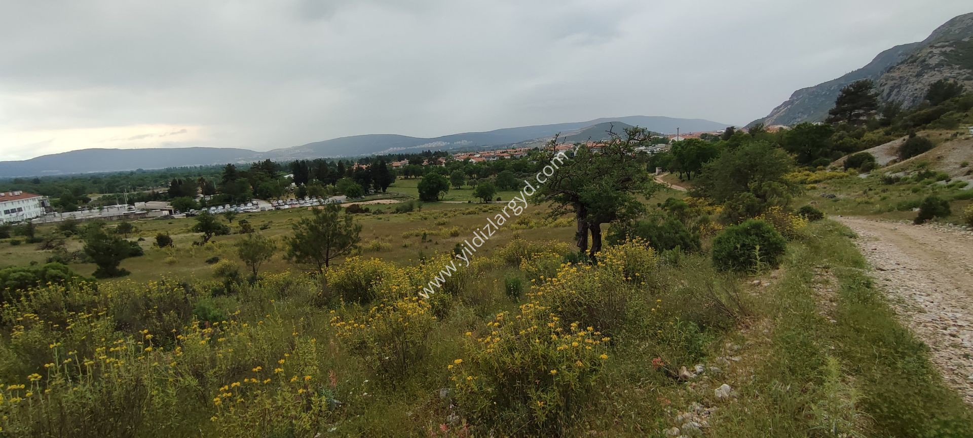MUĞLA MENTEŞE DÜĞEREK GELİŞİM BÖLGESİNDE 750 M² ARSA HİSSESİ