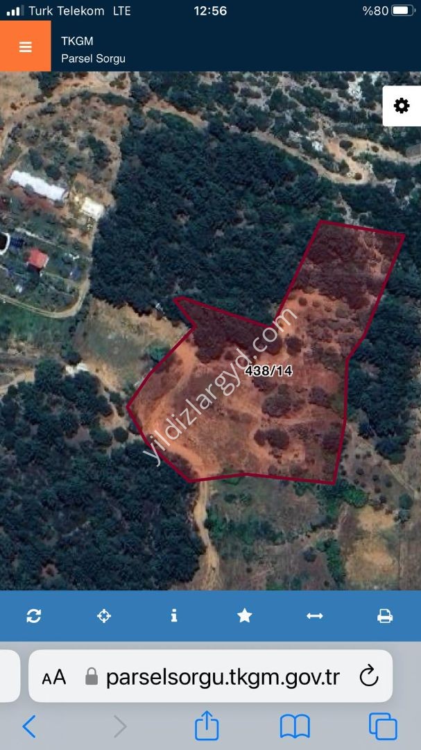 MUĞLA MENTEŞE YERKESİK MAH. SATILIK 8.606 M² BAKIMLI TARLA