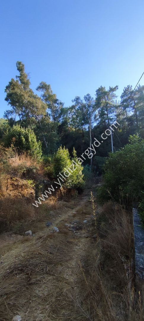 MUĞLA ULA ŞİRİNKÖY’DE DOĞAYLA İÇ İÇE BİR YAŞAM FIRSATI